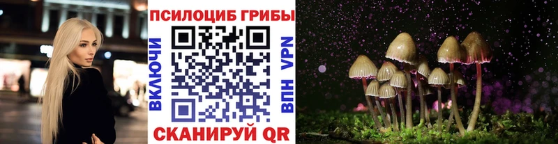 Псилоцибиновые грибы ЛСД  Губкин 